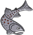 BKFV Logo